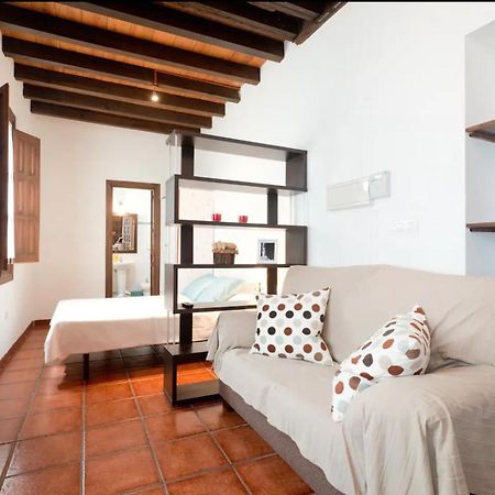 Apartamentos Centro Historico A Los Pies De La Alhambra Granada Bagian luar foto