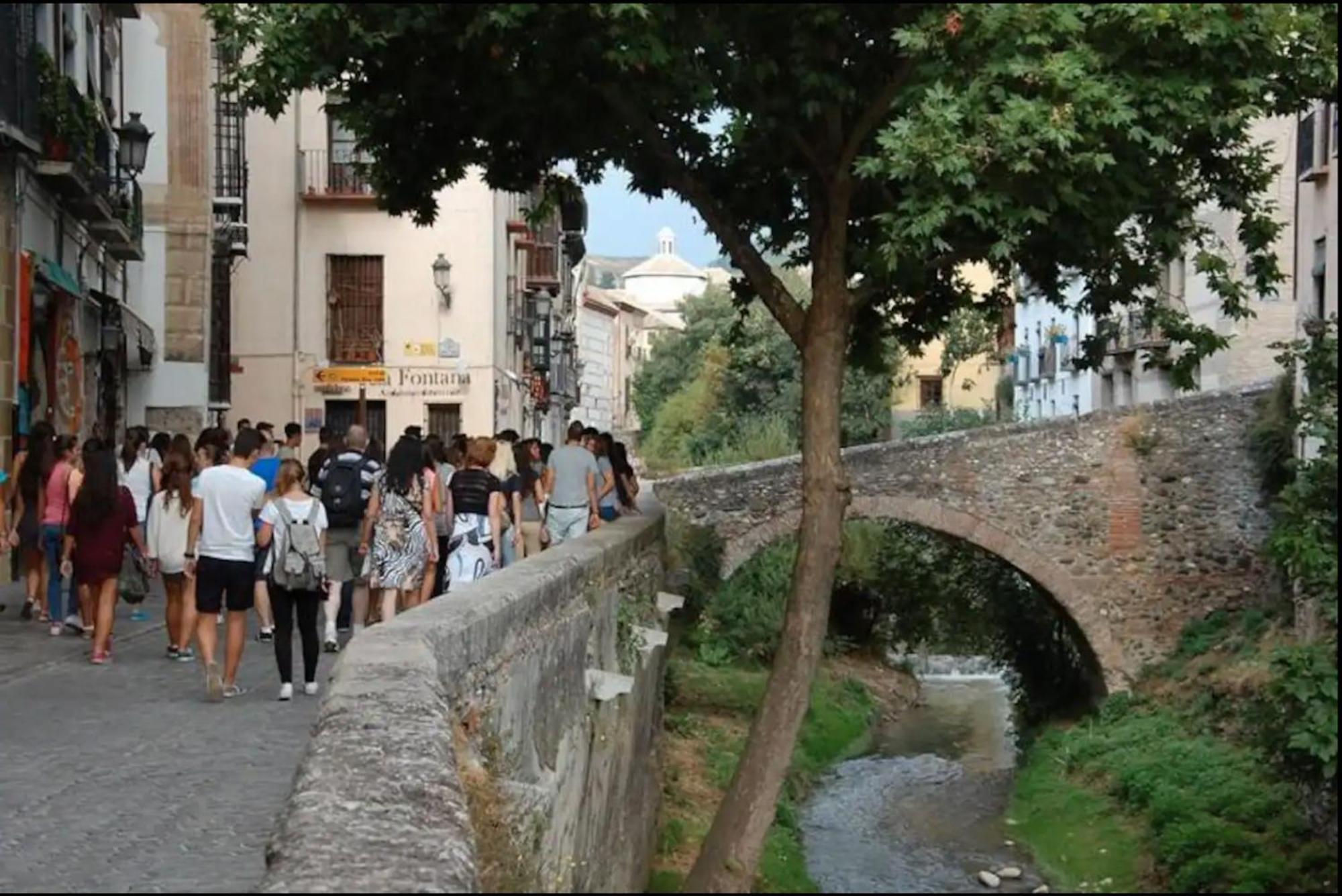 Apartamentos Centro Historico A Los Pies De La Alhambra Granada Bagian luar foto